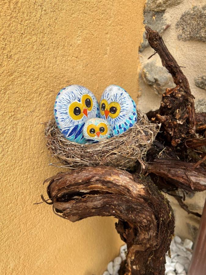 As Penedas, Casa Dos Arcos ソベール エクステリア 写真